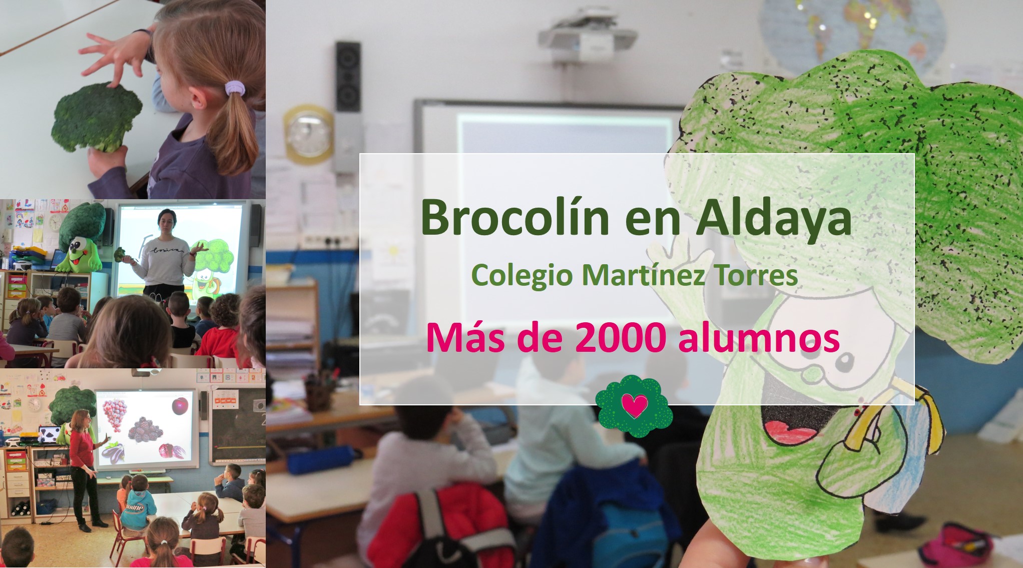 Proyecto Brocolin en Aldaia